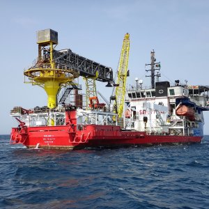 HALANI 1