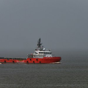 PACIFIC PYTHON