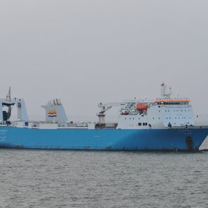 AL HURREYA 2