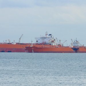BUNGA KELANA 7