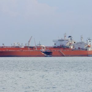 BUNGA KELANA 3