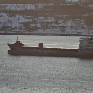 WILSON NORFOLK