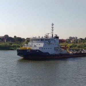 TULPAR