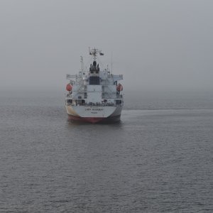 LADY ROSEBAY