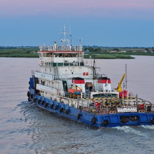 OT-2431