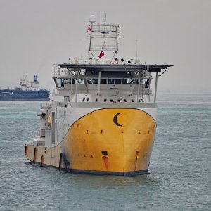 NEPTUNE DESPINA