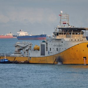 NEPTUNE DESPINA