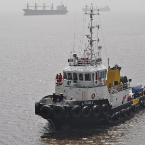 HALANI 5