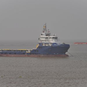 TOPAZ MEGAN