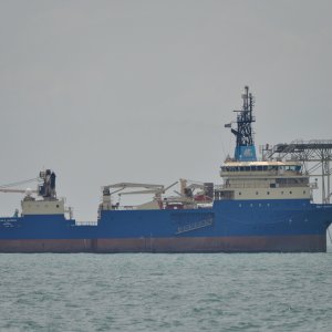 BOLD MAVERICK AT ANCHOR