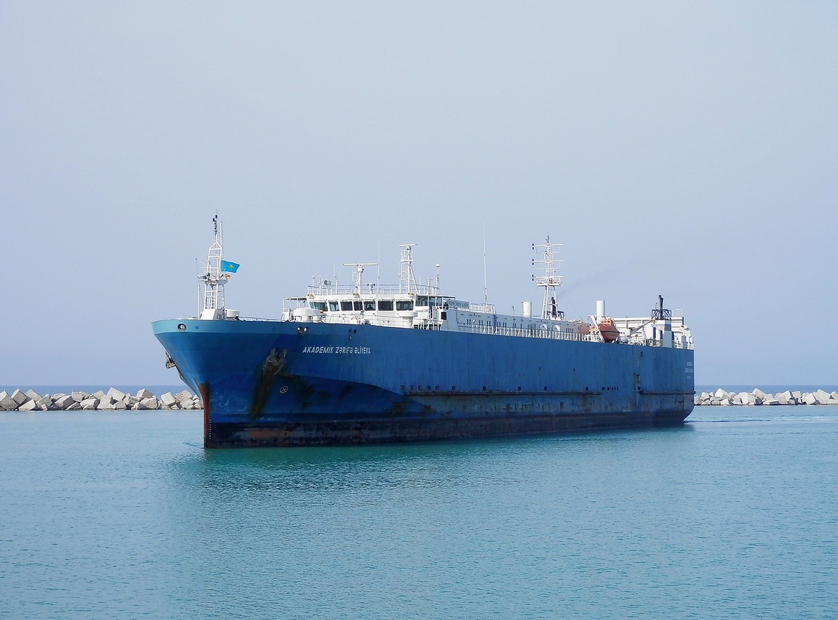 Akademik Zarifa Aliyeva