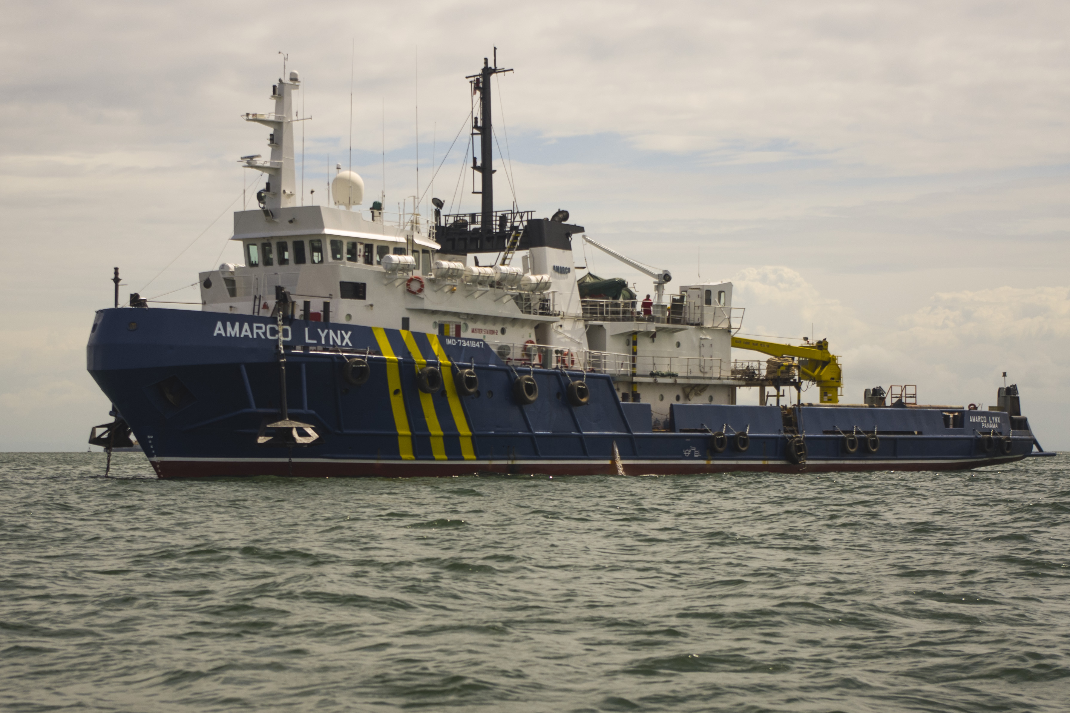 AMARCO LYNX