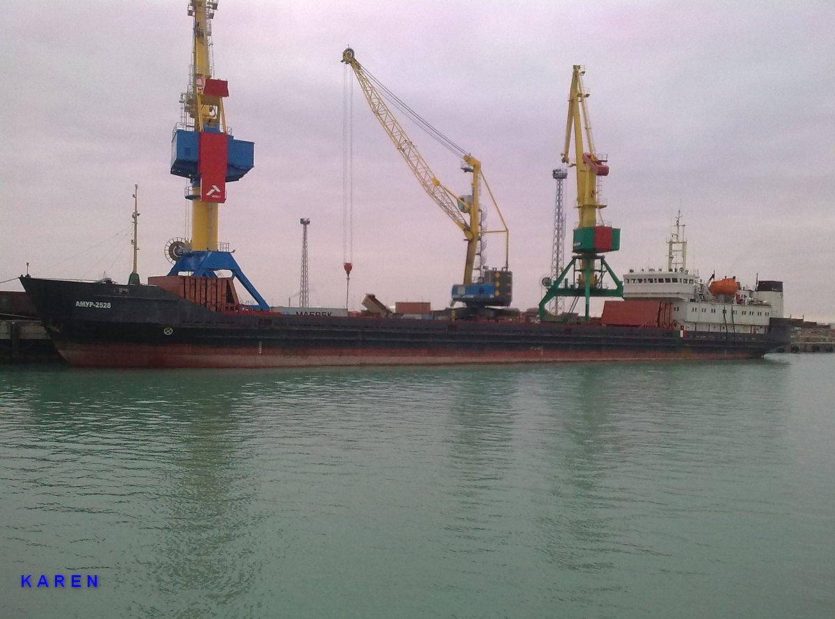AMUR-2528-АМУР-2528