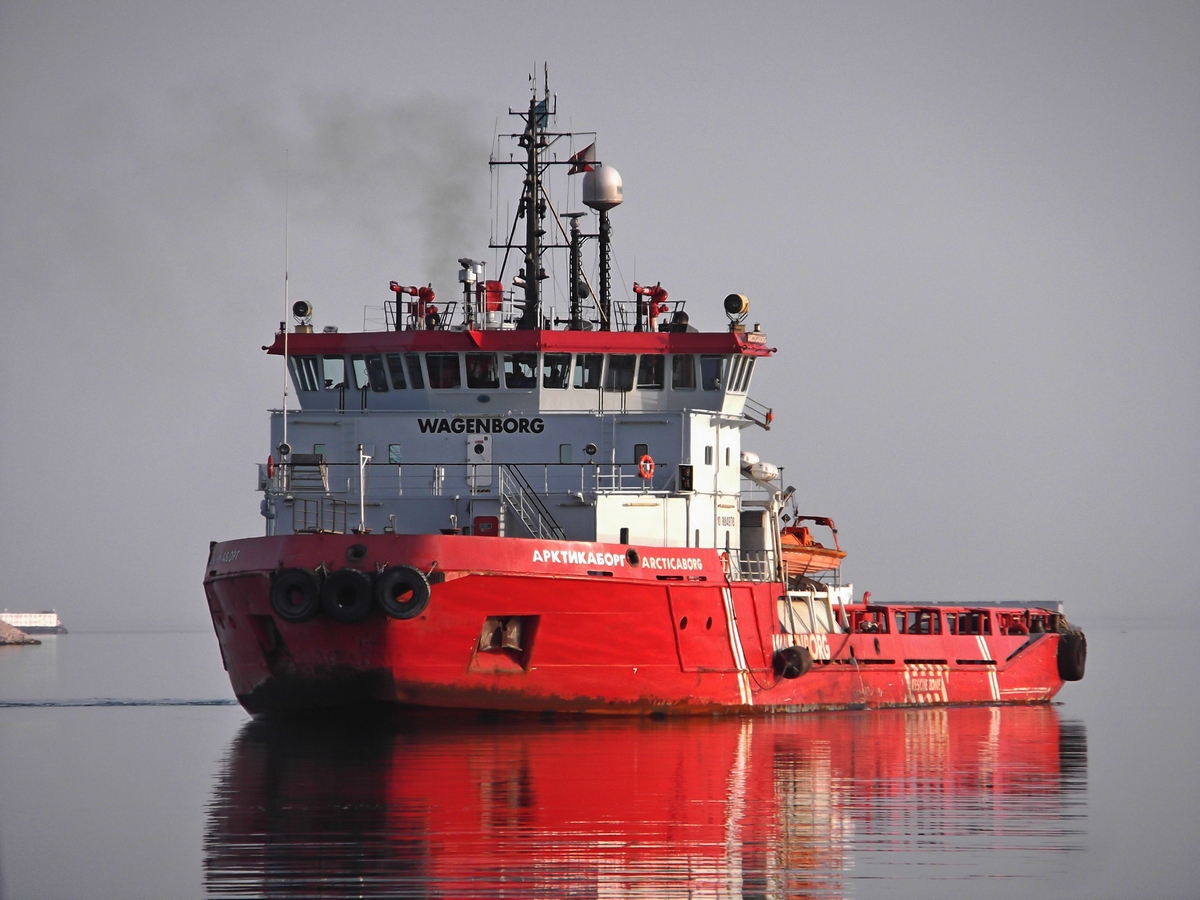 ARCTICABORG