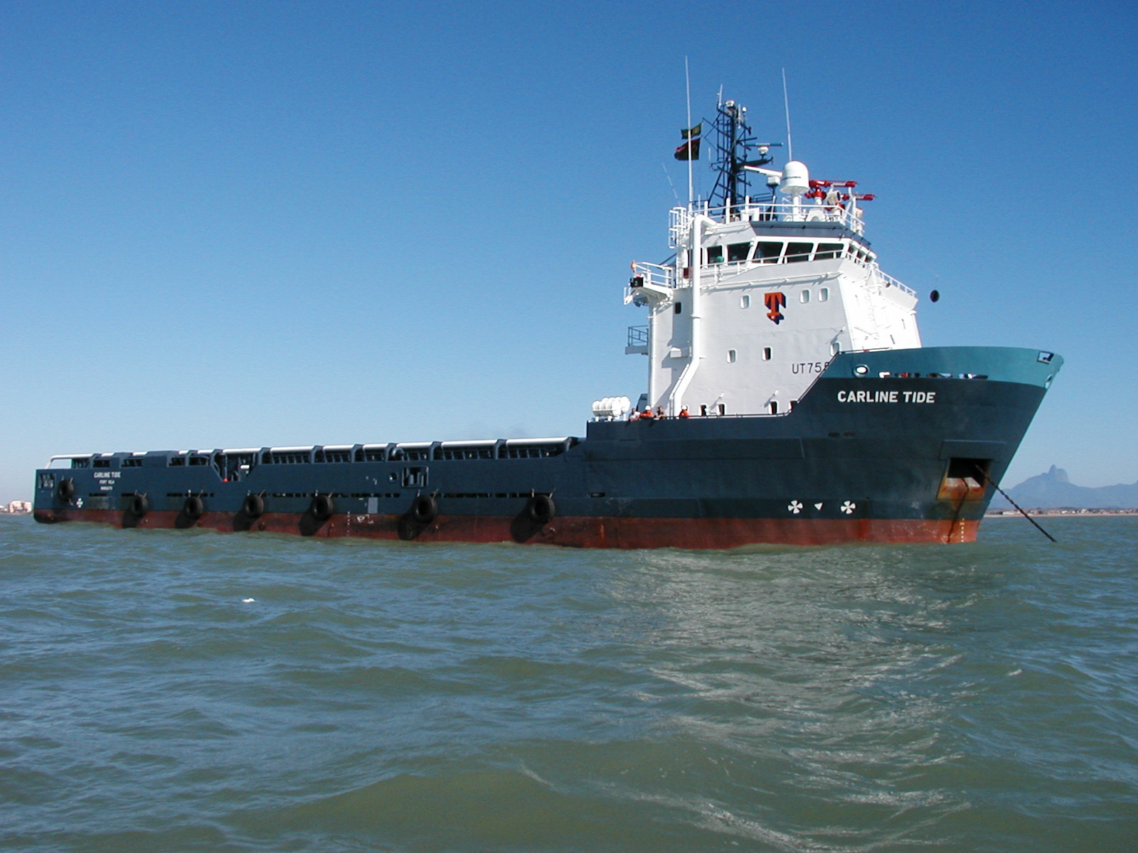 CARLINE TIDE