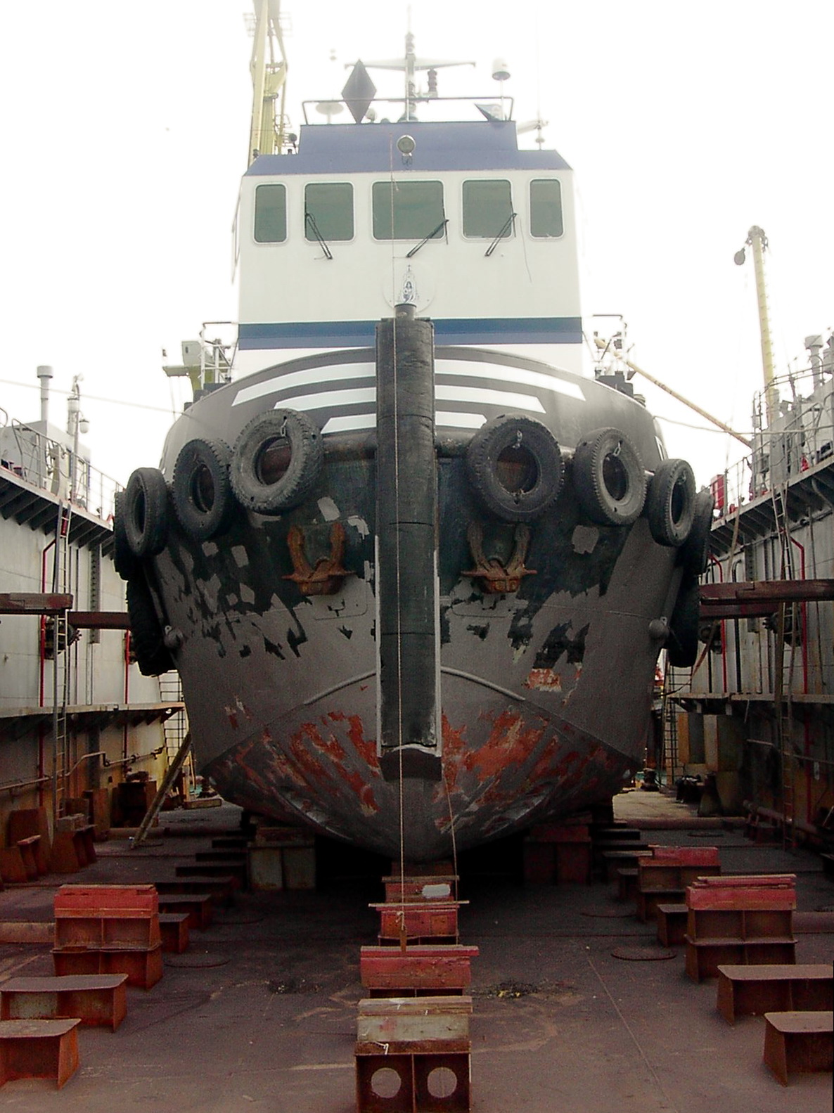 DUTCH PEARL
