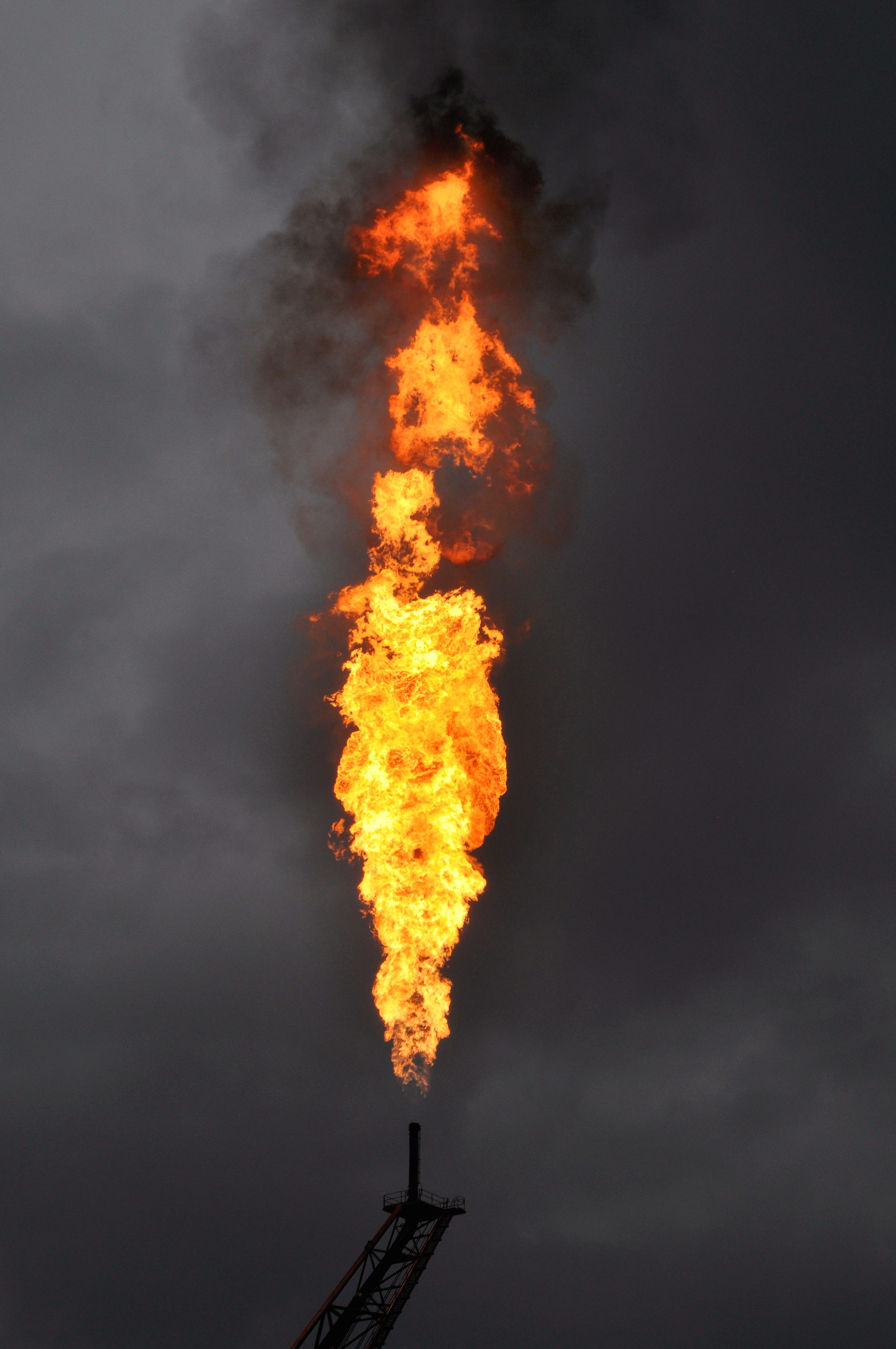 EDOP FLARE