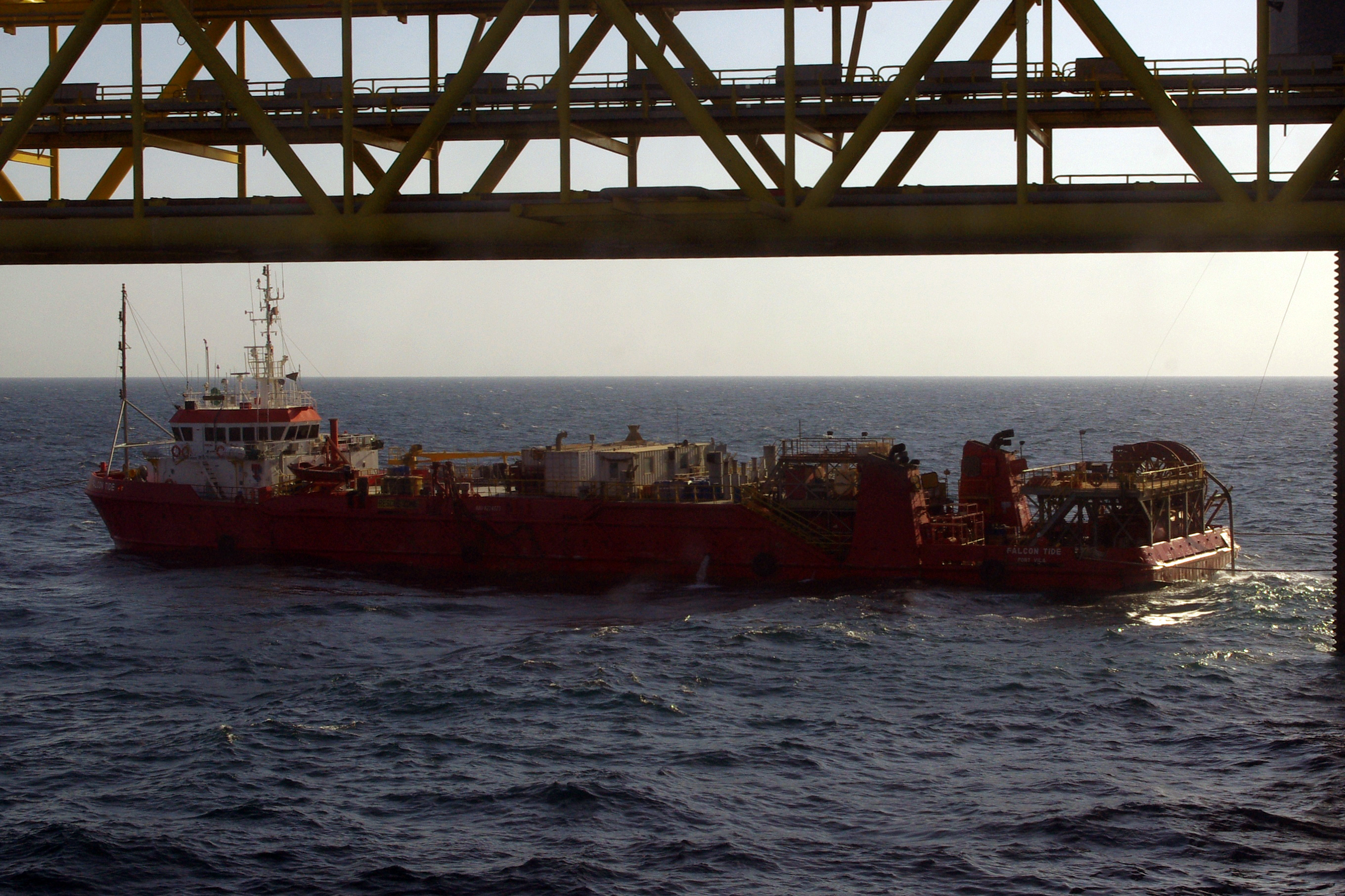 Falcon Tide