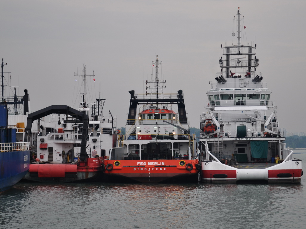 FEG MERLIN - IMO 9475909 & PACIFIC GAS - IMO 9505235