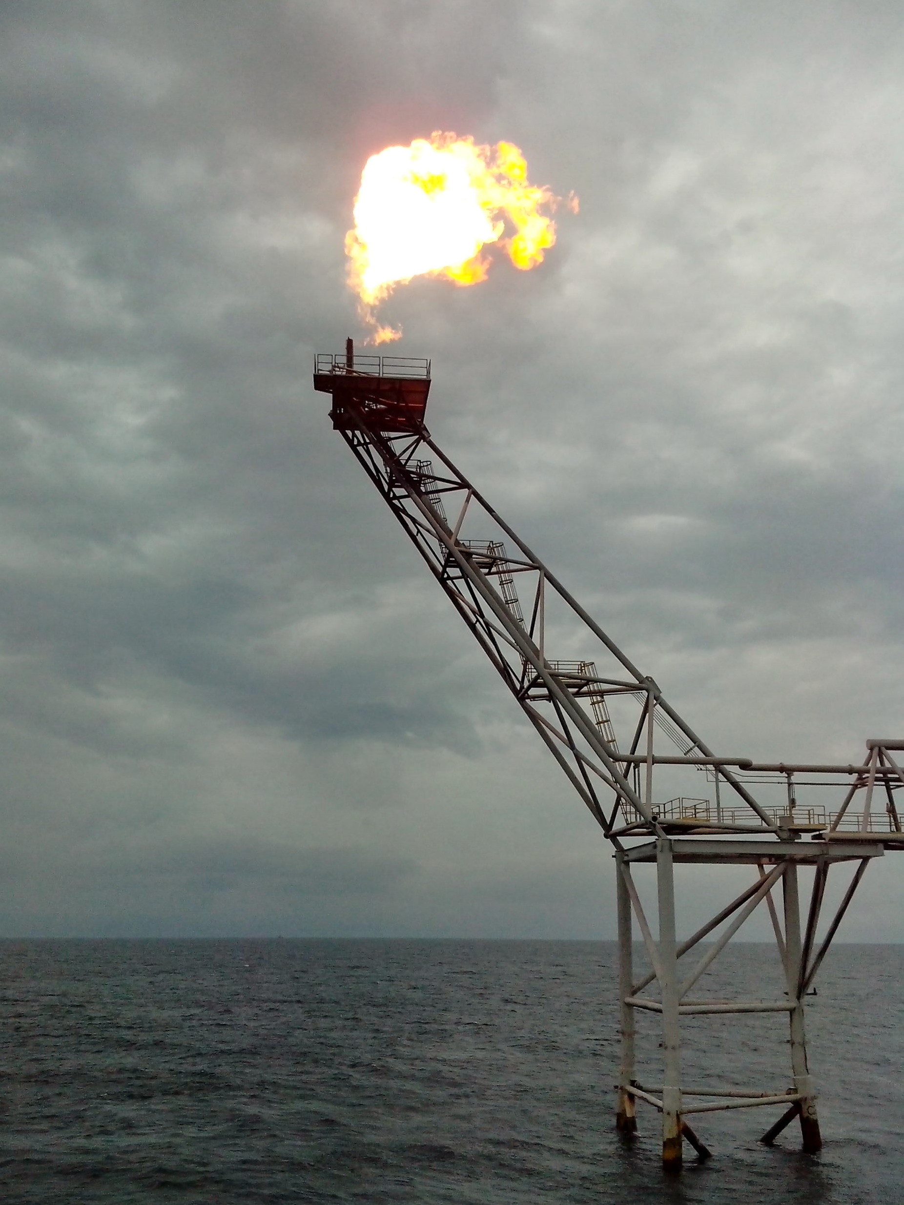 FLARE AT IDOHO COMPLEX