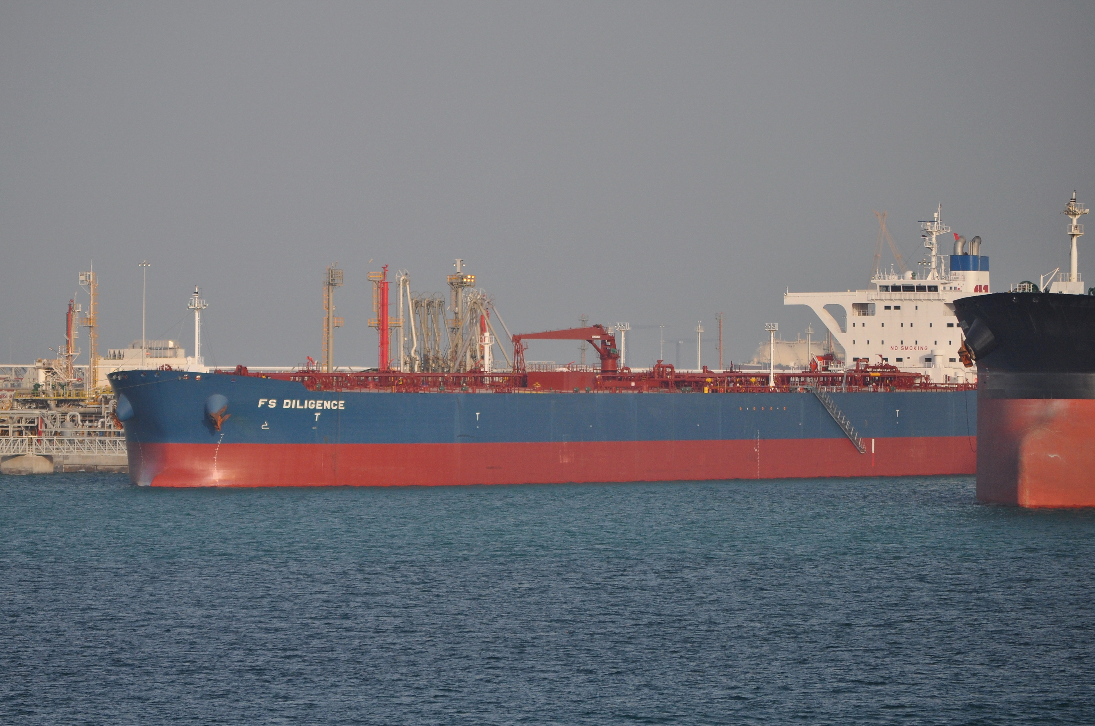 FS DILIGENCE