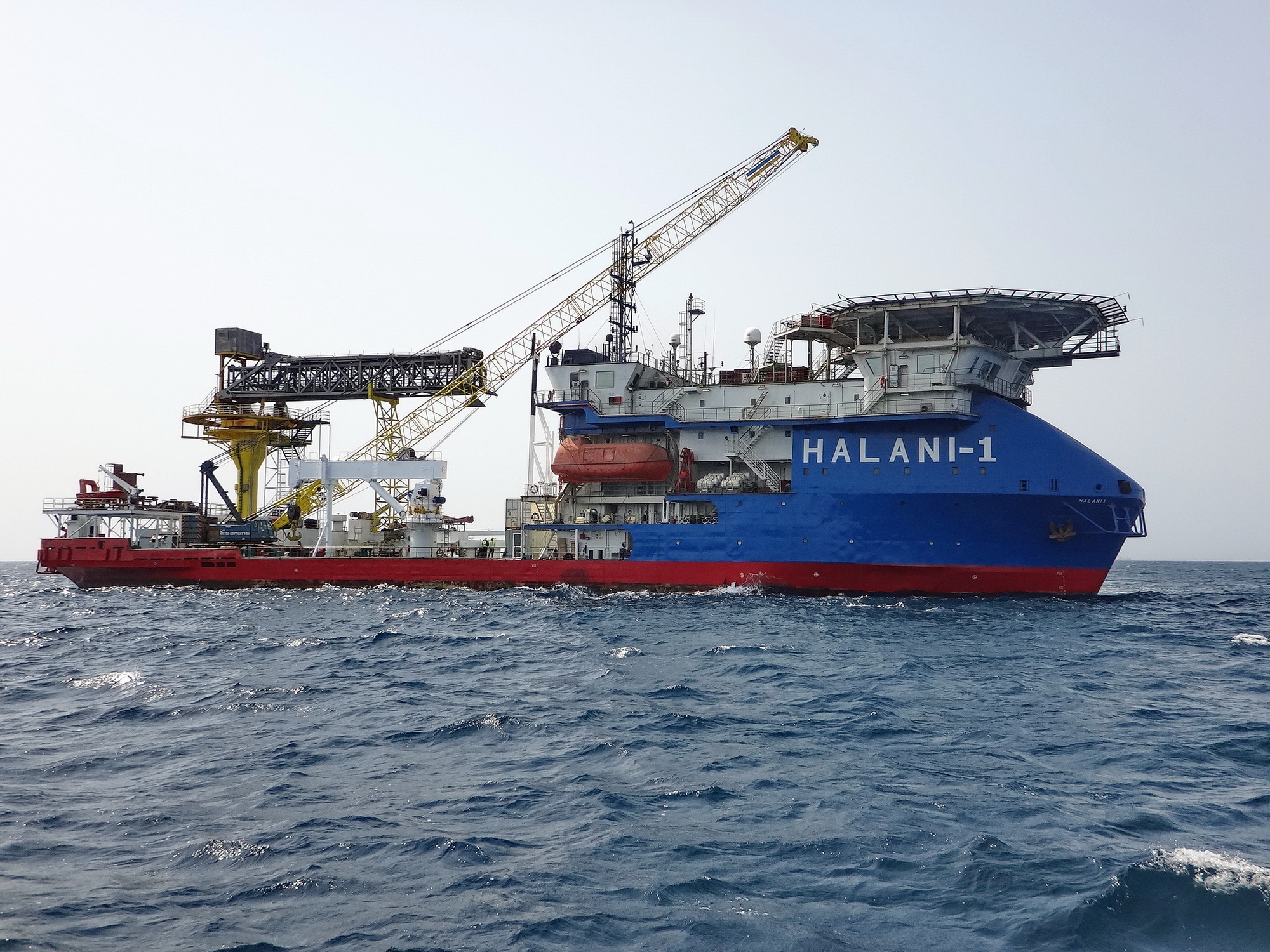 HALANI 1