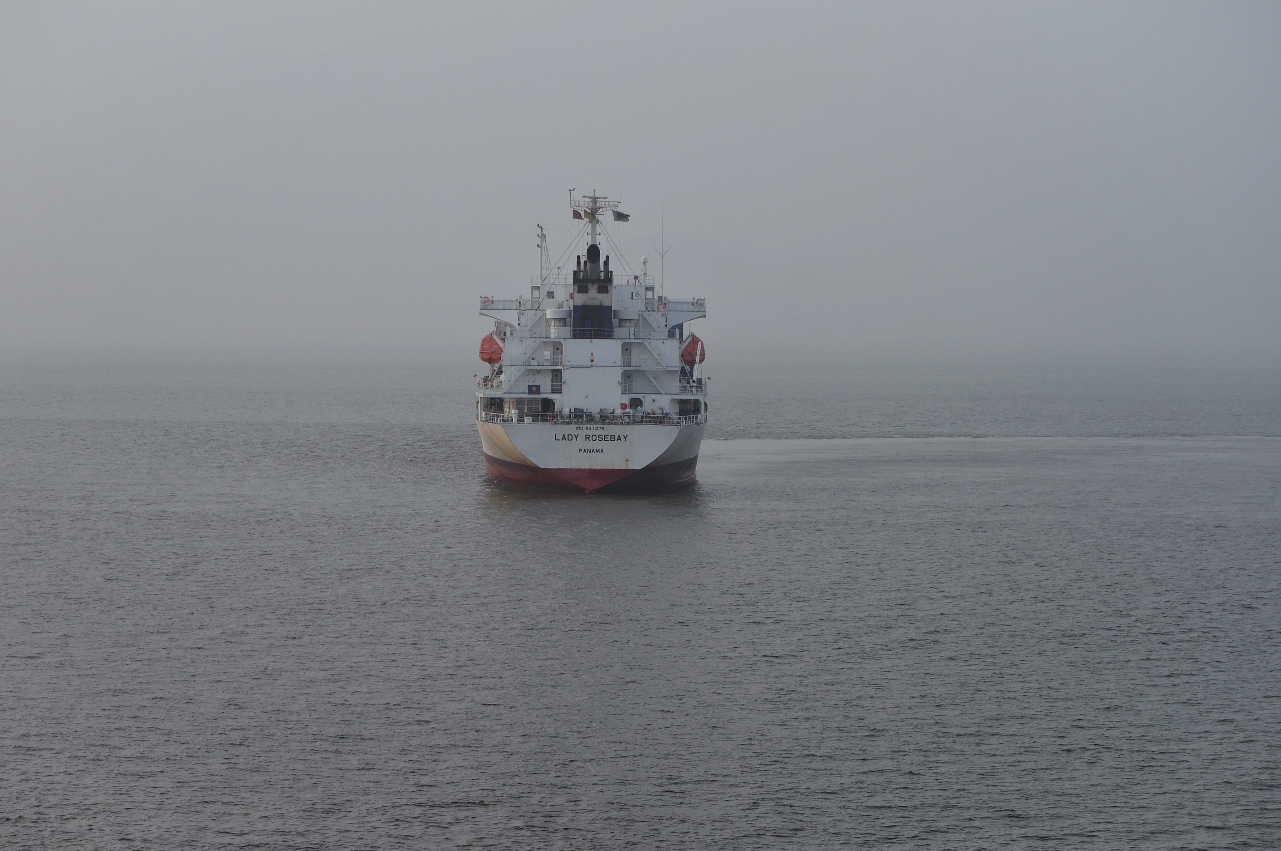 LADY ROSEBAY