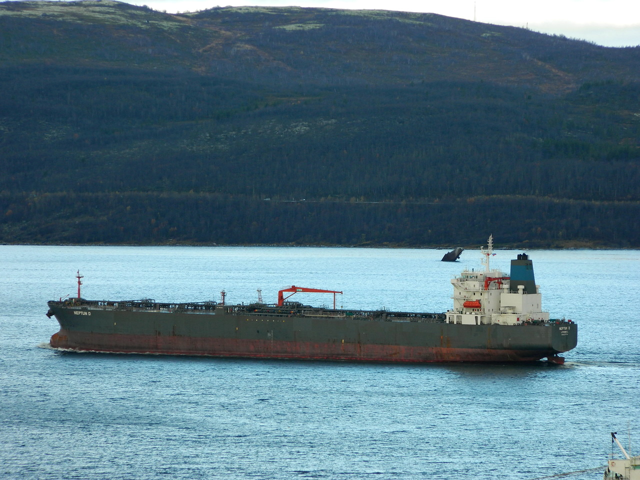 NEPTUN D