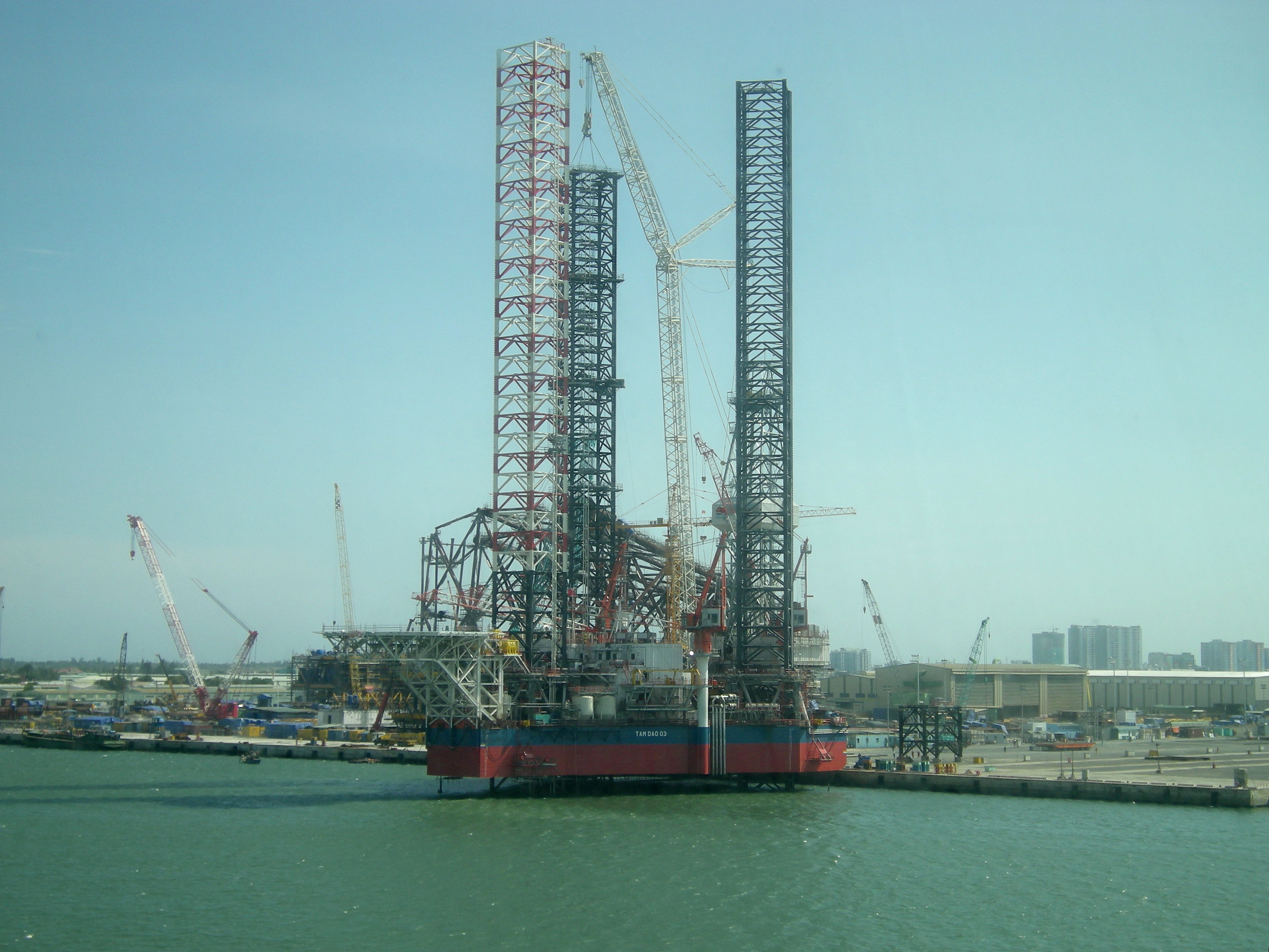TAM DAO 03