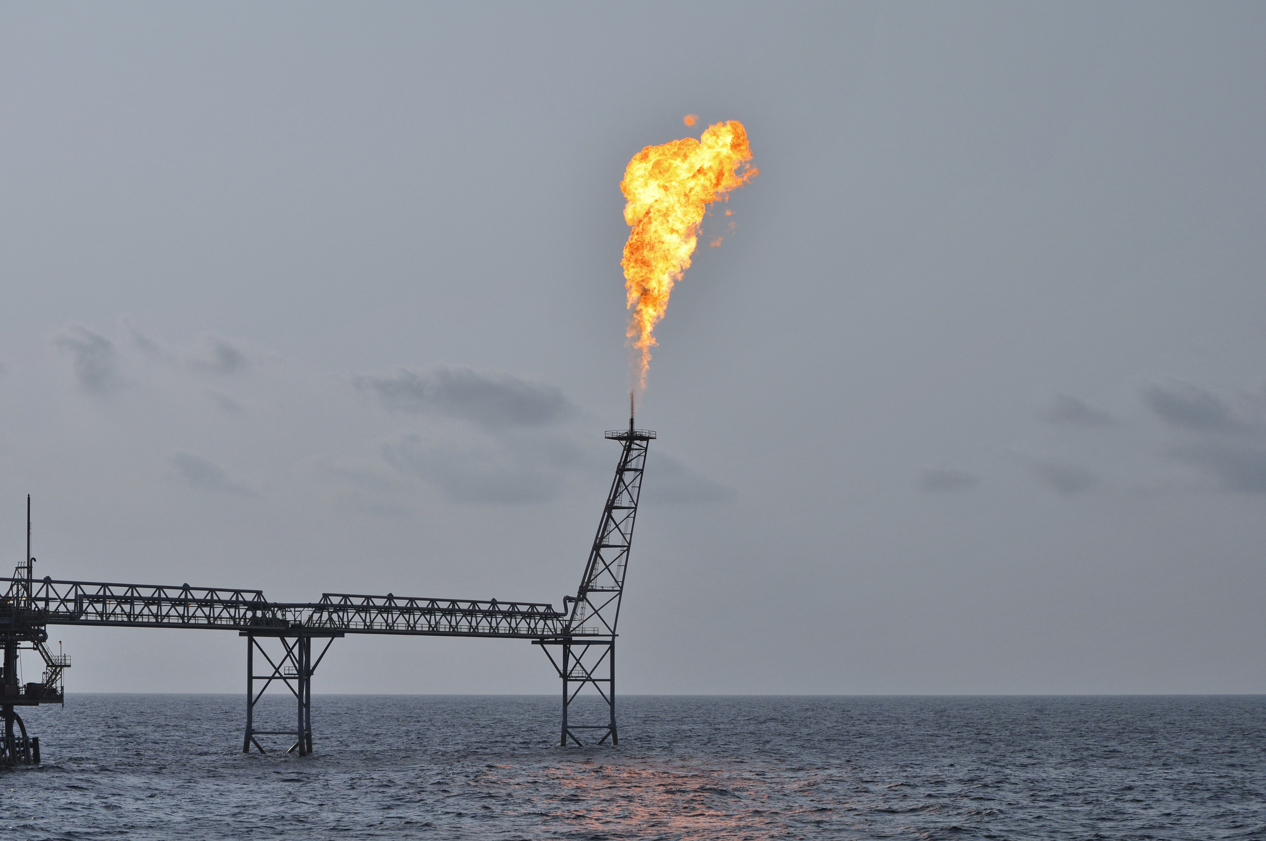 UBIT FLARE